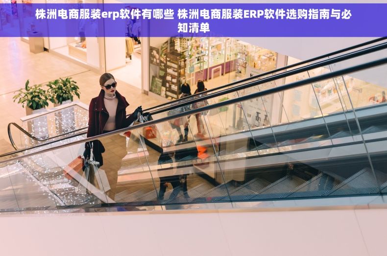 株洲电商服装erp软件有哪些 株洲电商服装ERP软件选购指南与必知清单