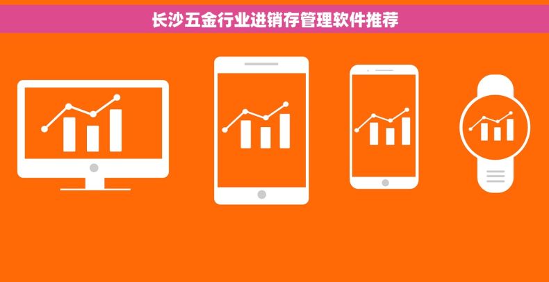 长沙五金行业进销存管理软件推荐