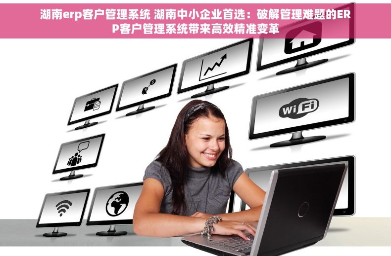 湖南erp客户管理系统 湖南中小企业首选：破解管理难题的ERP客户管理系统带来高效精准变革