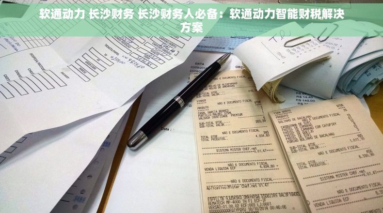 软通动力 长沙财务 长沙财务人必备：软通动力智能财税解决方案