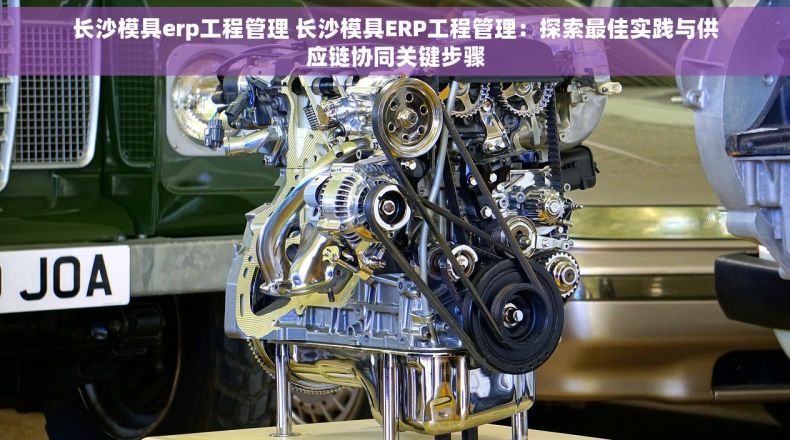 长沙模具erp工程管理 长沙模具ERP工程管理：探索最佳实践与供应链协同关键步骤