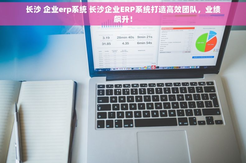长沙 企业erp系统 长沙企业ERP系统打造高效团队，业绩飙升！