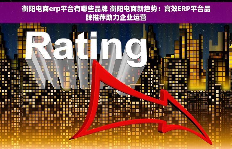 衡阳电商erp平台有哪些品牌 衡阳电商新趋势：高效ERP平台品牌推荐助力企业运营