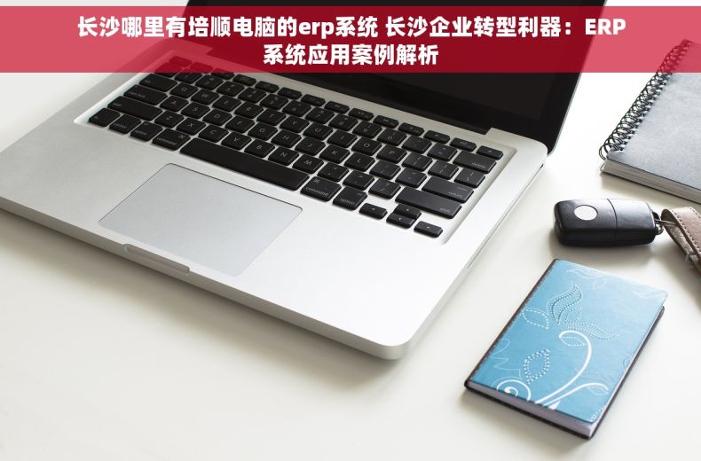 长沙哪里有培顺电脑的erp系统 长沙企业转型利器：ERP系统应用案例解析
