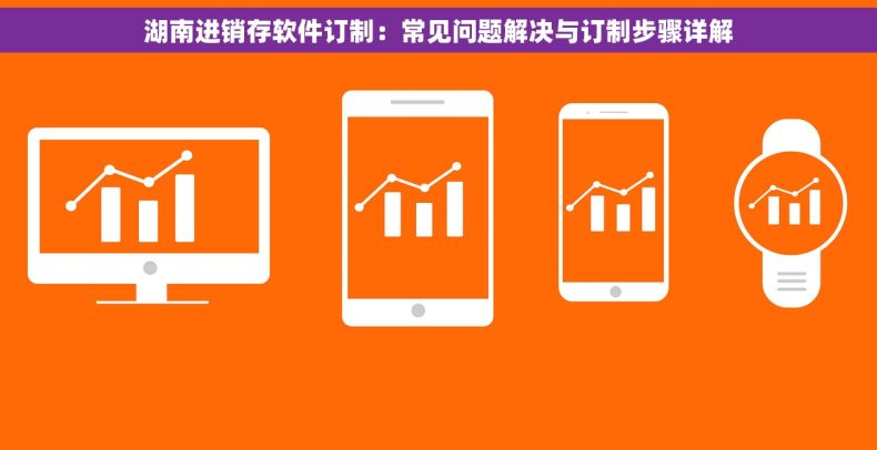 湖南进销存软件订制：常见问题解决与订制步骤详解