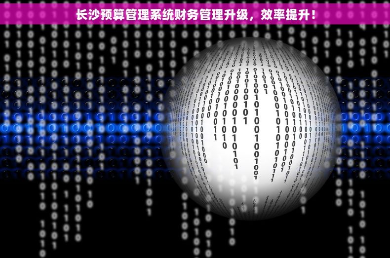 长沙预算管理系统财务管理升级，效率提升！