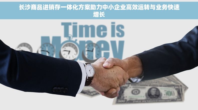 长沙商品进销存一体化方案助力中小企业高效运转与业务快速增长