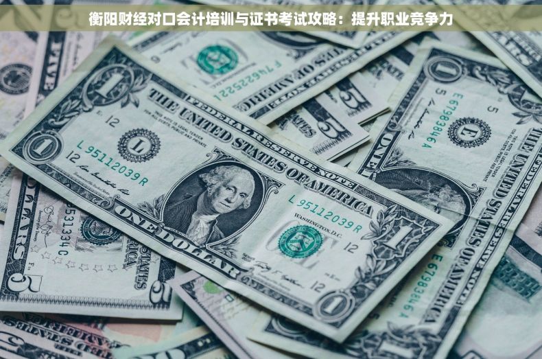 衡阳财经对口会计培训与证书考试攻略：提升职业竞争力
