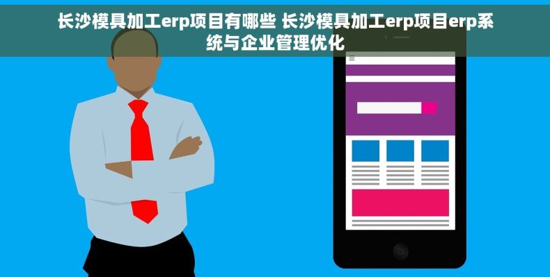 长沙模具加工erp项目有哪些 长沙模具加工erp项目erp系统与企业管理优化