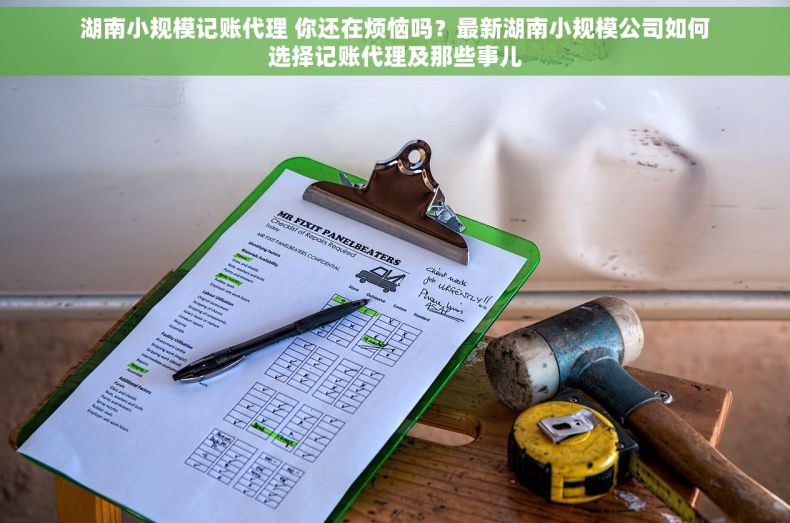 湖南小规模记账代理 你还在烦恼吗？最新湖南小规模公司如何选择记账代理及那些事儿