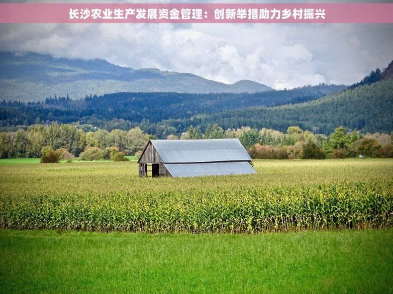 长沙农业生产发展资金管理：创新举措助力乡村振兴