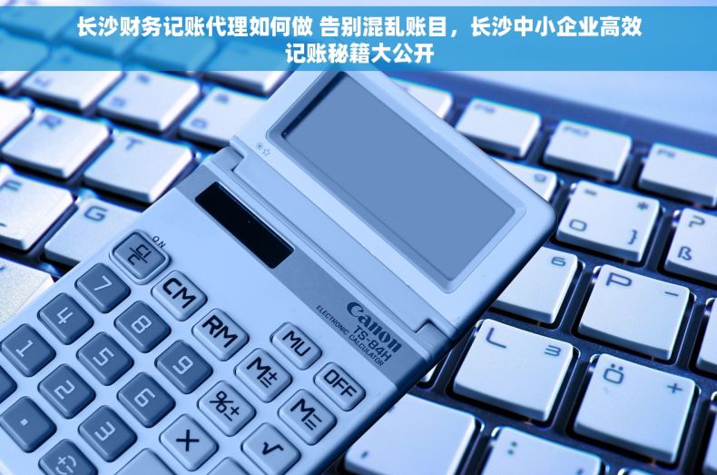 长沙财务记账代理如何做 告别混乱账目，长沙中小企业高效记账秘籍大公开