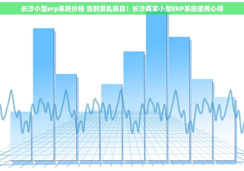 长沙小型erp系统价格 告别混乱账目！长沙商家小型ERP系统使用心得