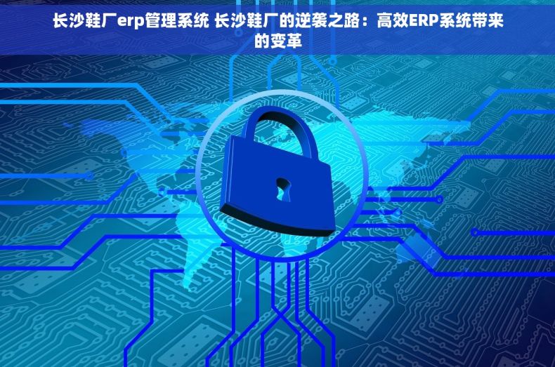 长沙鞋厂erp管理系统 长沙鞋厂的逆袭之路：高效ERP系统带来的变革
