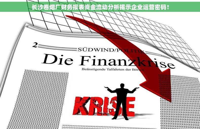 长沙卷烟厂财务报表资金流动分析揭示企业运营密码！