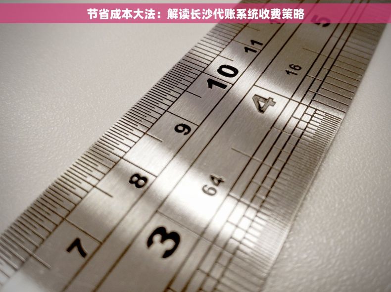节省成本大法：解读长沙代账系统收费策略