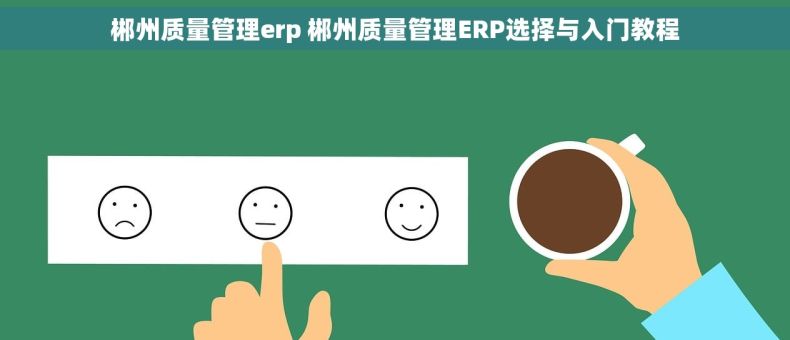 郴州质量管理erp 郴州质量管理ERP选择与入门教程