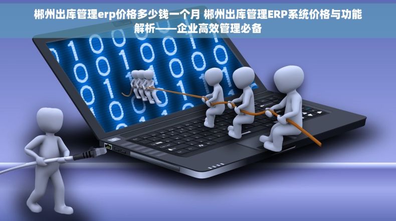 郴州出库管理erp价格多少钱一个月 郴州出库管理ERP系统价格与功能解析——企业高效管理必备