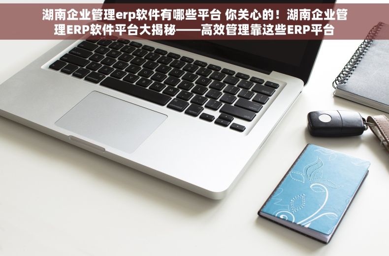 湖南企业管理erp软件有哪些平台 你关心的！湖南企业管理ERP软件平台大揭秘——高效管理靠这些ERP平台