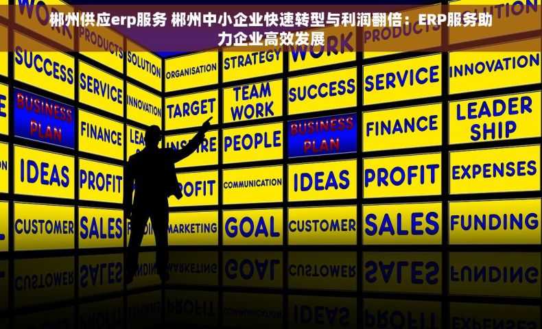 郴州供应erp服务 郴州中小企业快速转型与利润翻倍：ERP服务助力企业高效发展