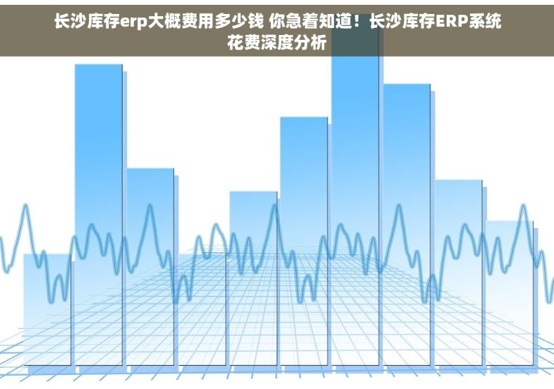 长沙库存erp大概费用多少钱 你急着知道！长沙库存ERP系统花费深度分析