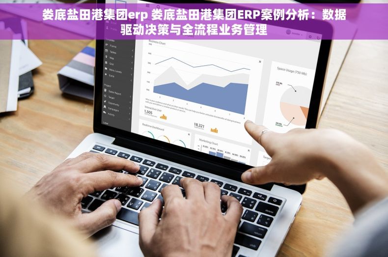 娄底盐田港集团erp 娄底盐田港集团ERP案例分析：数据驱动决策与全流程业务管理