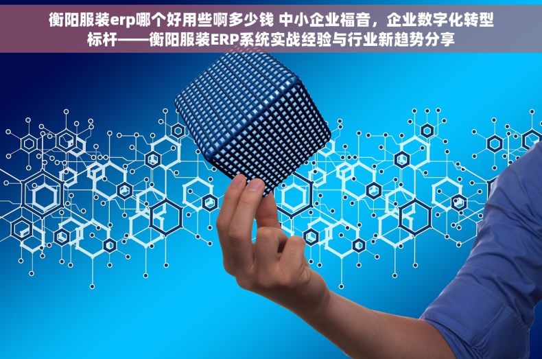 衡阳服装erp哪个好用些啊多少钱 中小企业福音，企业数字化转型标杆——衡阳服装ERP系统实战经验与行业新趋势分享