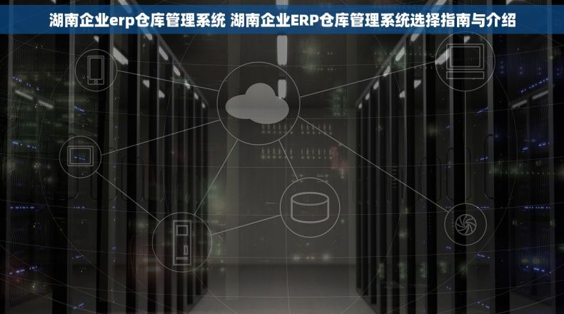 湖南企业erp仓库管理系统 湖南企业ERP仓库管理系统选择指南与介绍