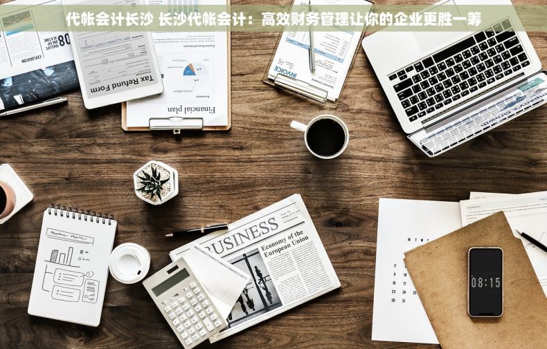 代帐会计长沙 长沙代帐会计：高效财务管理让你的企业更胜一筹