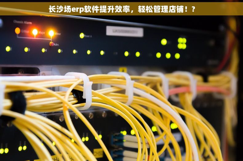 长沙场erp软件提升效率，轻松管理店铺！?