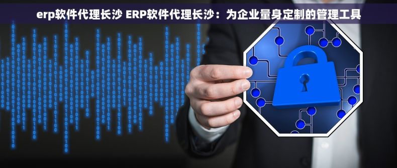 erp软件代理长沙 ERP软件代理长沙：为企业量身定制的管理工具