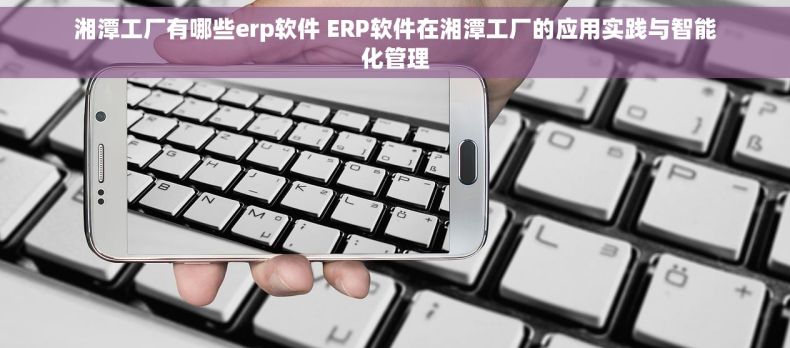 湘潭工厂有哪些erp软件 ERP软件在湘潭工厂的应用实践与智能化管理