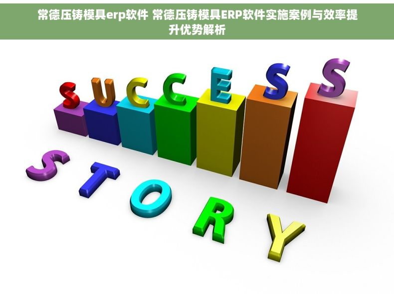 常德压铸模具erp软件 常德压铸模具ERP软件实施案例与效率提升优势解析