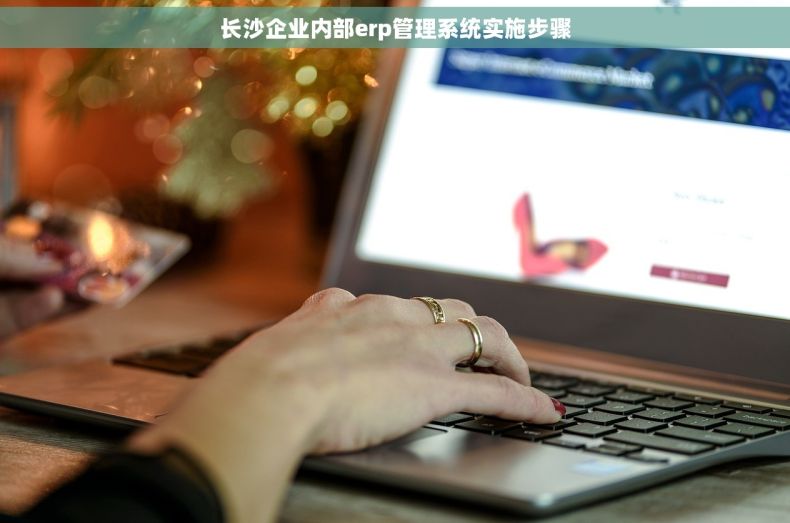 长沙企业内部erp管理系统实施步骤