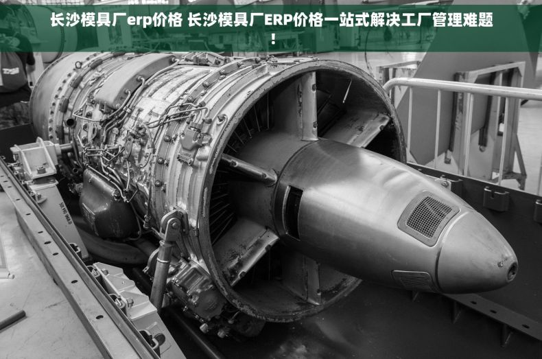 长沙模具厂erp价格 长沙模具厂ERP价格一站式解决工厂管理难题！