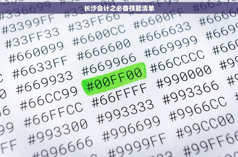 长沙会计之必备技能清单