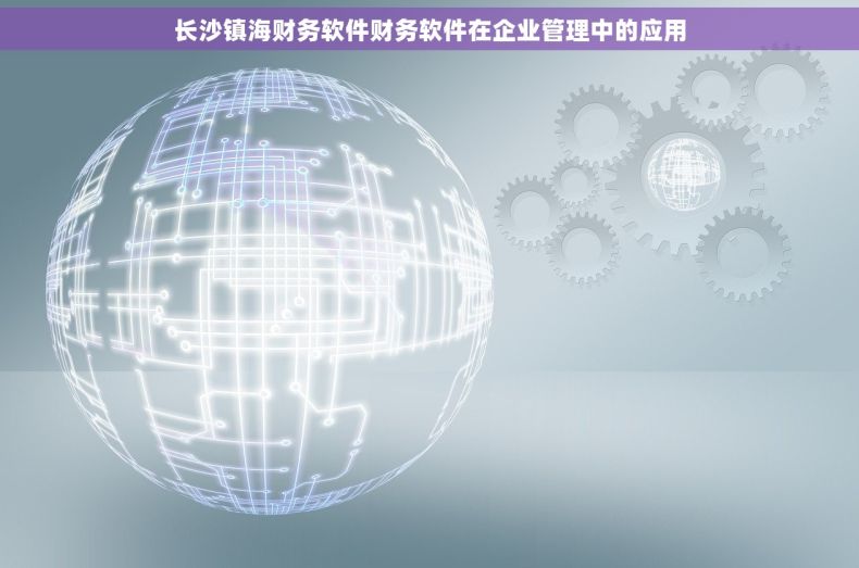 长沙镇海财务软件财务软件在企业管理中的应用