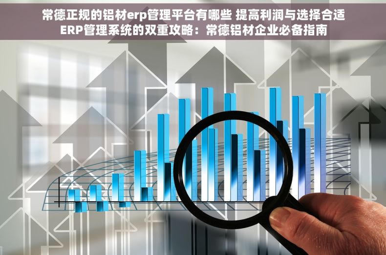 常德正规的铝材erp管理平台有哪些 提高利润与选择合适ERP管理系统的双重攻略：常德铝材企业必备指南