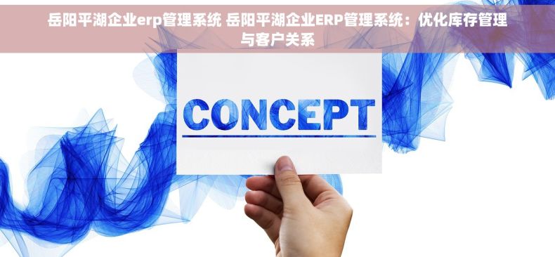 岳阳平湖企业erp管理系统 岳阳平湖企业ERP管理系统：优化库存管理与客户关系