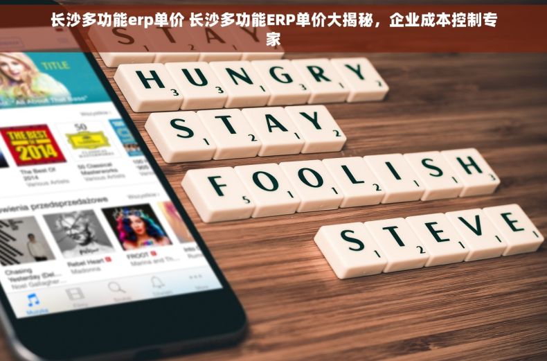 长沙多功能erp单价 长沙多功能ERP单价大揭秘，企业成本控制专家