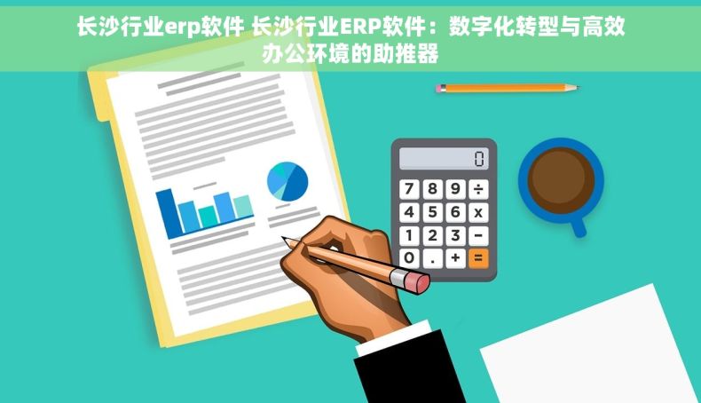 长沙行业erp软件 长沙行业ERP软件：数字化转型与高效办公环境的助推器