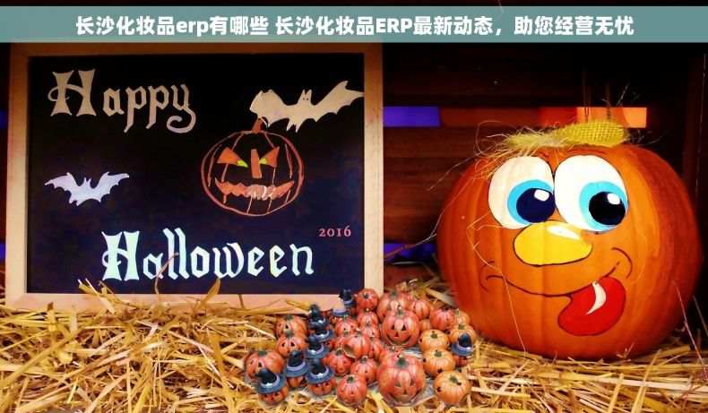 长沙化妆品erp有哪些 长沙化妆品ERP最新动态，助您经营无忧