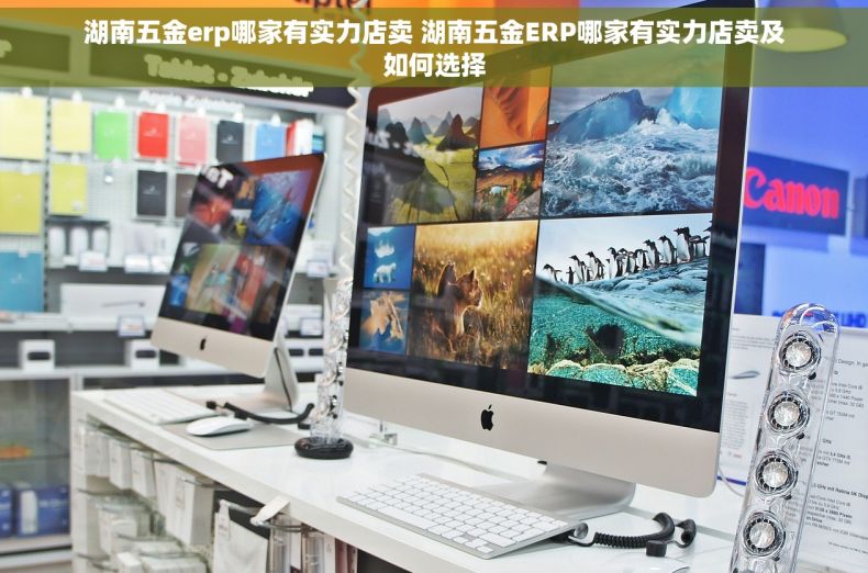 湖南五金erp哪家有实力店卖 湖南五金ERP哪家有实力店卖及如何选择