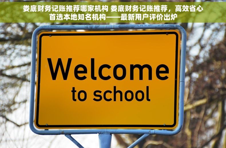 娄底财务记账推荐哪家机构 娄底财务记账推荐，高效省心首选本地知名机构——最新用户评价出炉