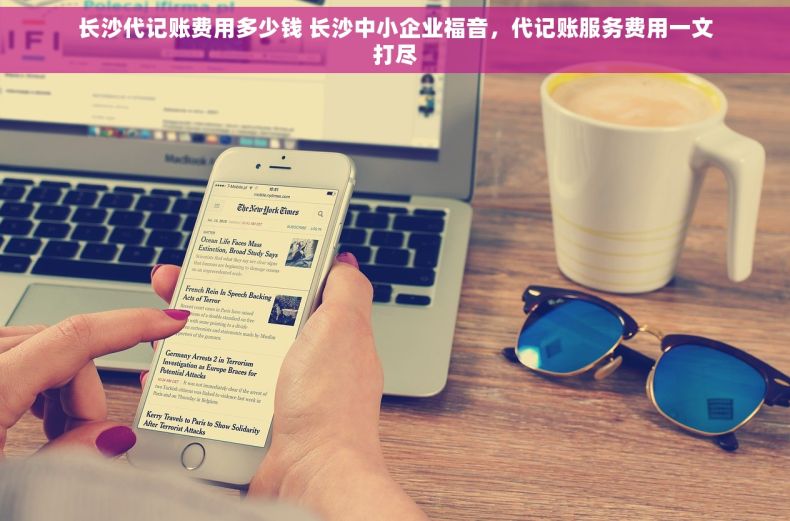 长沙代记账费用多少钱 长沙中小企业福音，代记账服务费用一文打尽