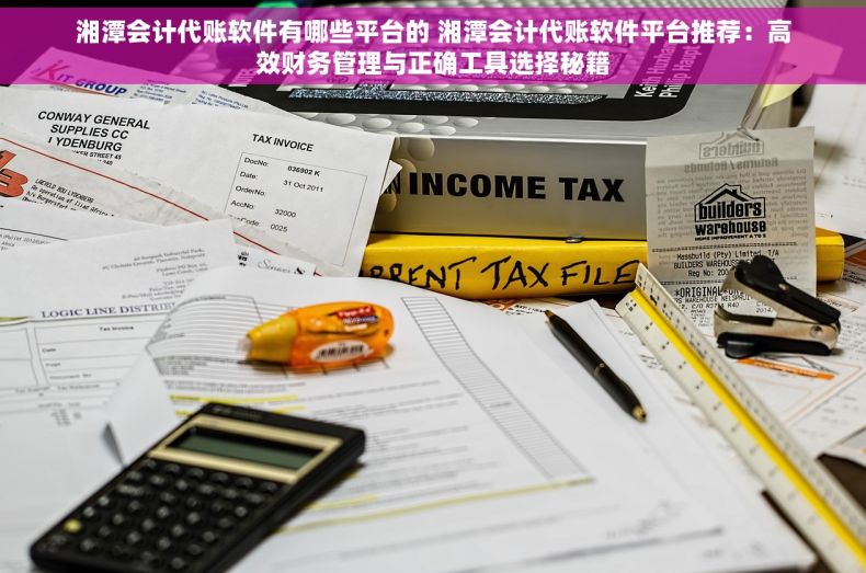 湘潭会计代账软件有哪些平台的 湘潭会计代账软件平台推荐：高效财务管理与正确工具选择秘籍