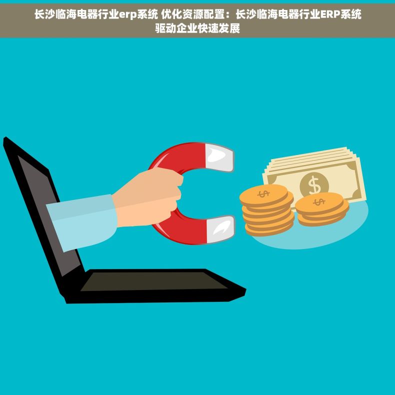 长沙临海电器行业erp系统 优化资源配置：长沙临海电器行业ERP系统驱动企业快速发展