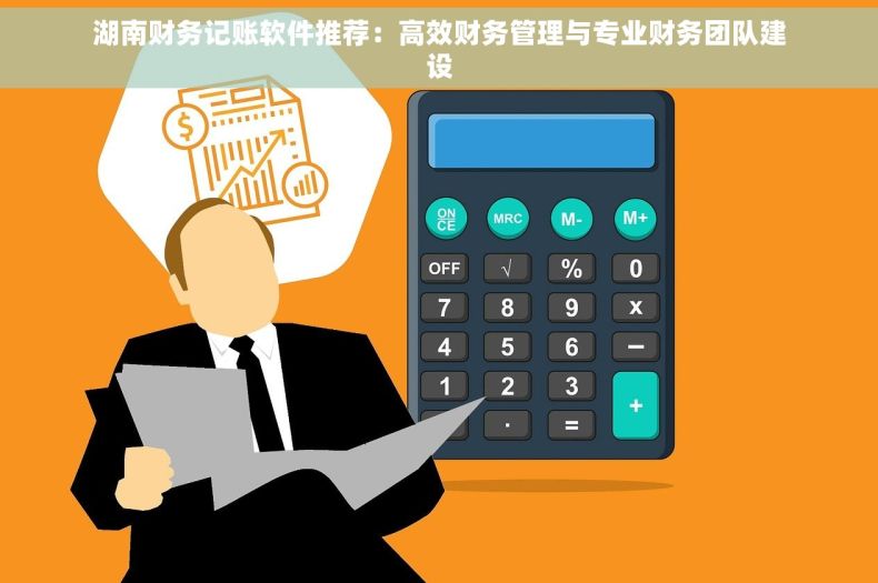 湖南财务记账软件推荐：高效财务管理与专业财务团队建设