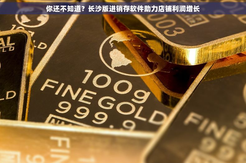 你还不知道？长沙版进销存软件助力店铺利润增长