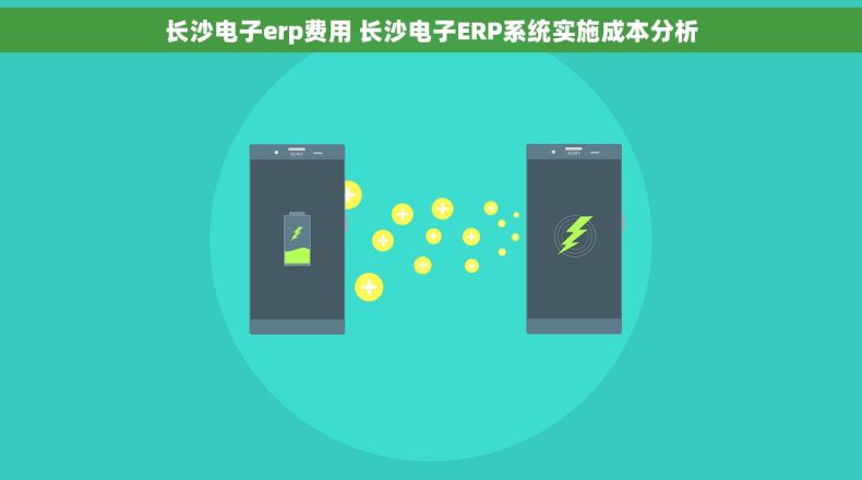 长沙电子erp费用 长沙电子ERP系统实施成本分析